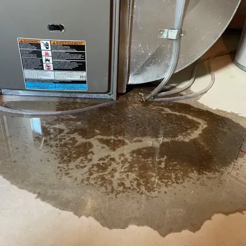 Appliance Leak Cleanup in Hamlin, NY